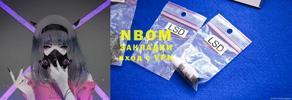 ГАЛЛЮЦИНОГЕННЫЕ ГРИБЫ Балахна