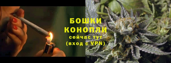 ГАЛЛЮЦИНОГЕННЫЕ ГРИБЫ Балахна