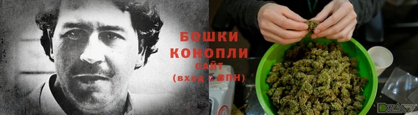 ГАЛЛЮЦИНОГЕННЫЕ ГРИБЫ Балахна