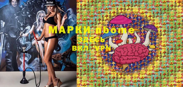 ГАЛЛЮЦИНОГЕННЫЕ ГРИБЫ Балахна