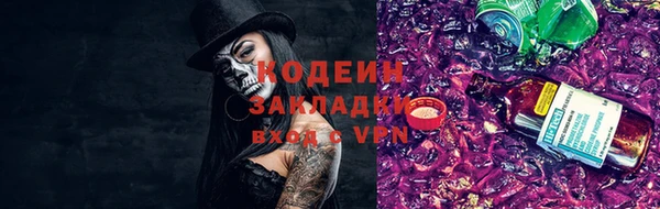 ГАЛЛЮЦИНОГЕННЫЕ ГРИБЫ Балахна