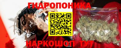 ешки Будённовск