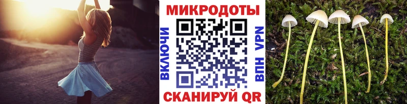 mega маркетплейс Гусев Псилоцибиновые грибы ЛСД