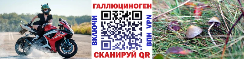 Псилоцибиновые грибы GOLDEN TEACHER Гусев
