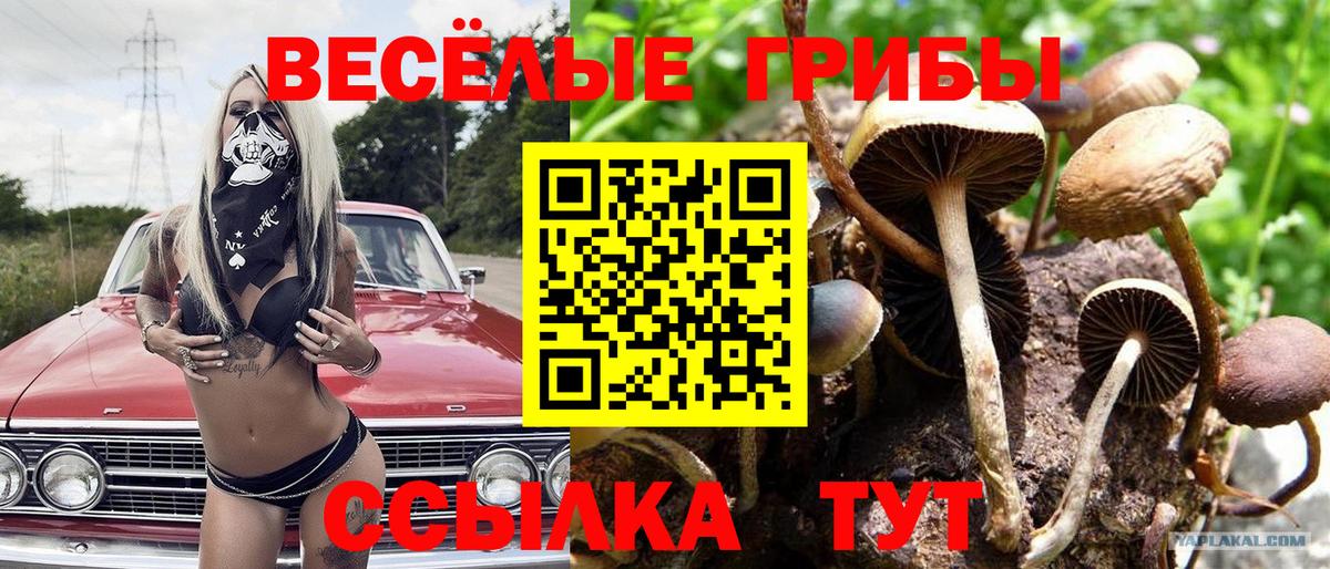 Галлюциногенные грибы мухоморы  Гусев 