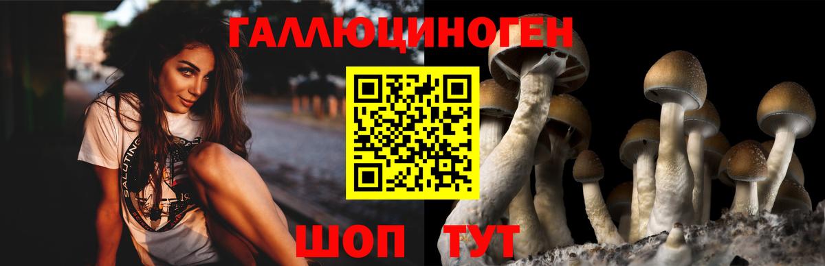 Гусев  цены наркотик  Вход с VPN  Псилоцибиновые грибы MAGIC MUSHROOMS  Псилоцибиновые грибы Psilocybine cubensis 